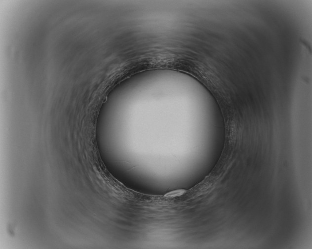 X0000103231153200809041019