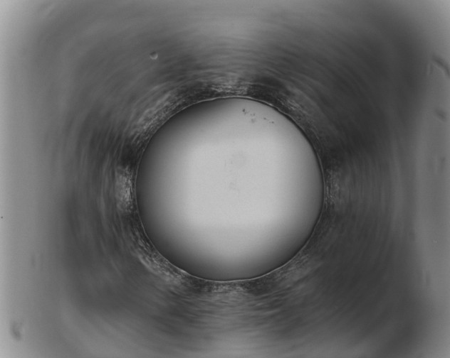X0000103231154200809041019