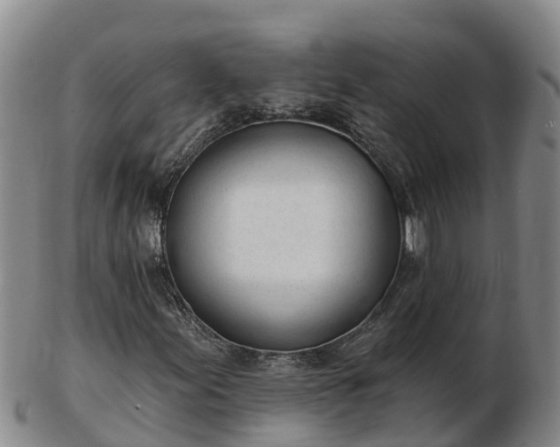 X0000103231155200809041019
