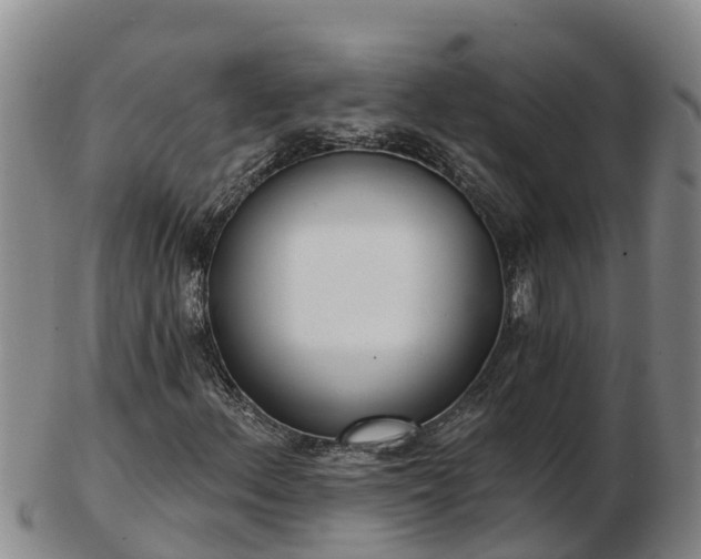 X0000103231156200809041019
