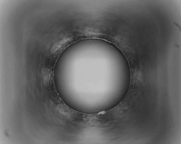 X0000103231157200809041019