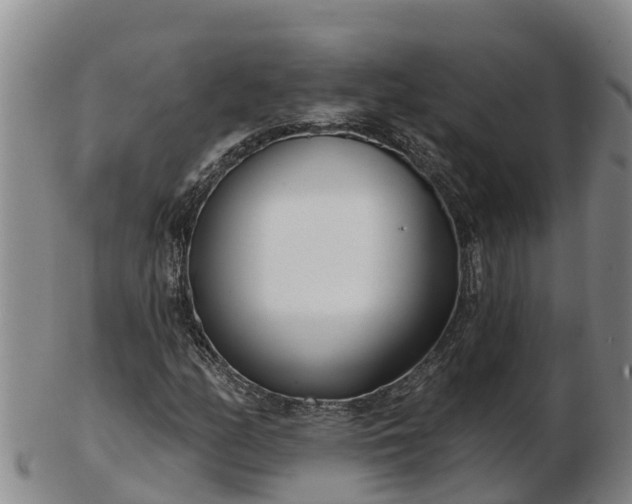X0000103231158200809041018