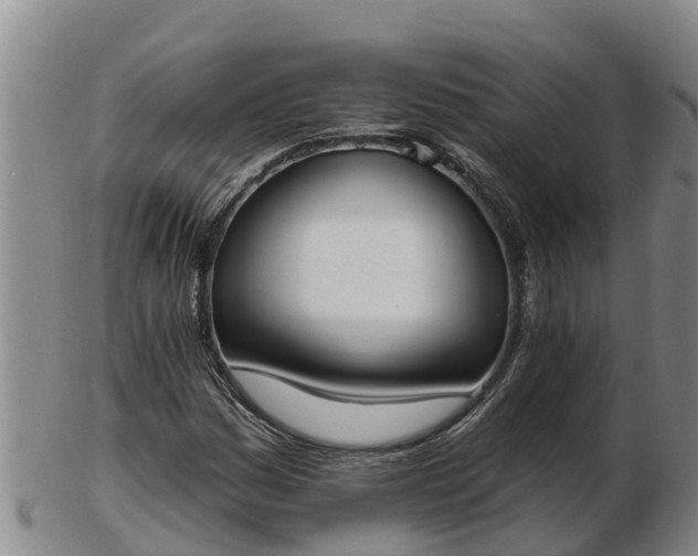X0000103231161200809041018