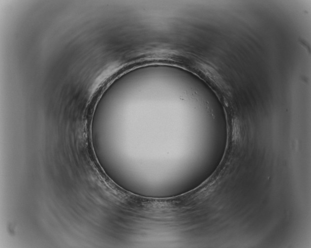 X0000103231164200809041018