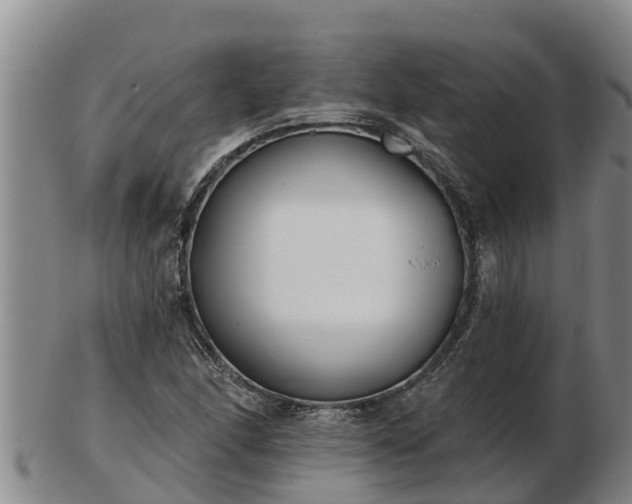 X0000103231166200809041018