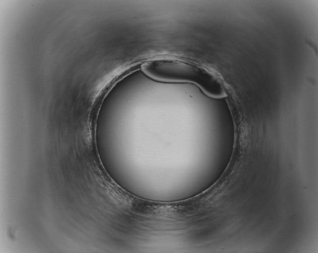 X0000103231167200809041018