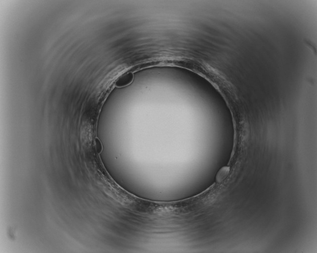 X0000103231169200809041018