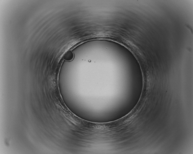 X0000103231170200809041018