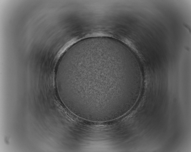 X0000103231173200809041018