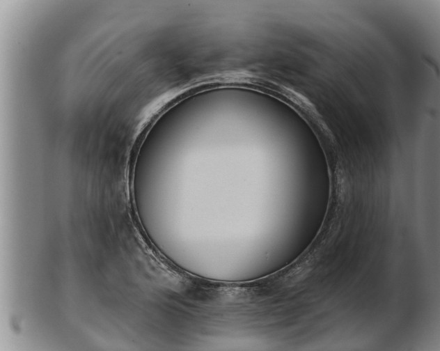 X0000103231176200809041018