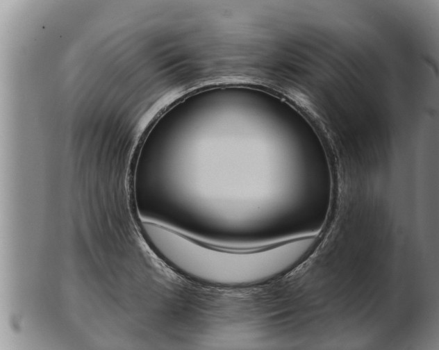 X0000103231181200809041018