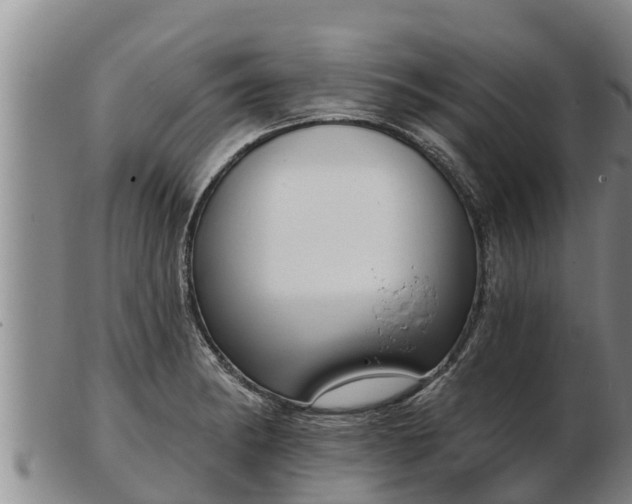 X0000103231182200809041018