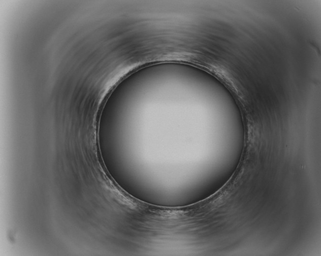 X0000103231184200809041018