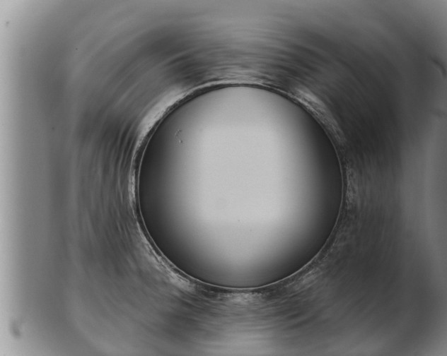 X0000103231188200809041018
