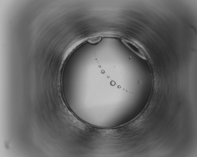 X0000103231192200809041018