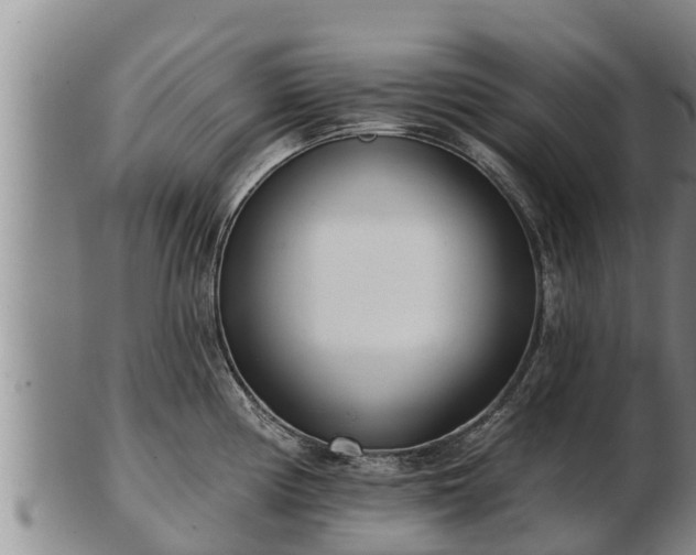 X0000103231194200809041018