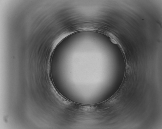 X0000103231195200809041018