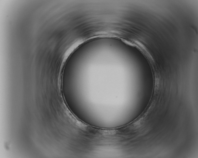 X0000103231196200809041018