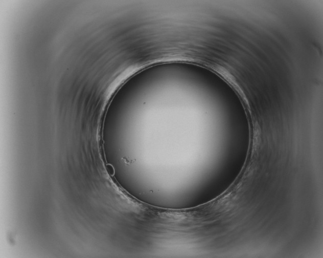 X0000103231197200809041018