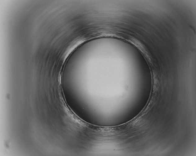 X0000103231198200809041018