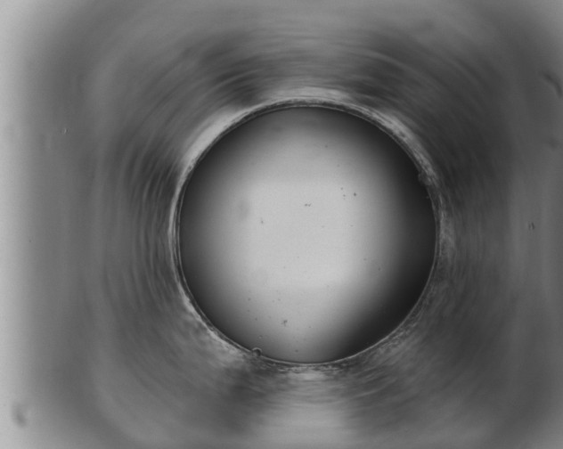 X0000103231199200809041018