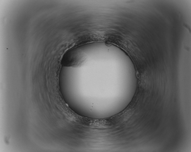 X0000103231201200809041017