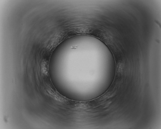X0000103231202200809041017