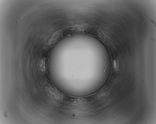 X0000103231203200809041017