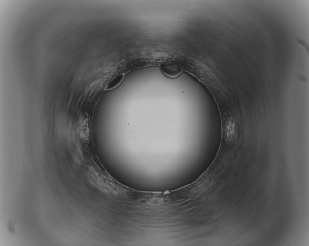 X0000103231204200809041017