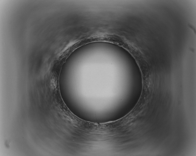X0000103231206200809041017
