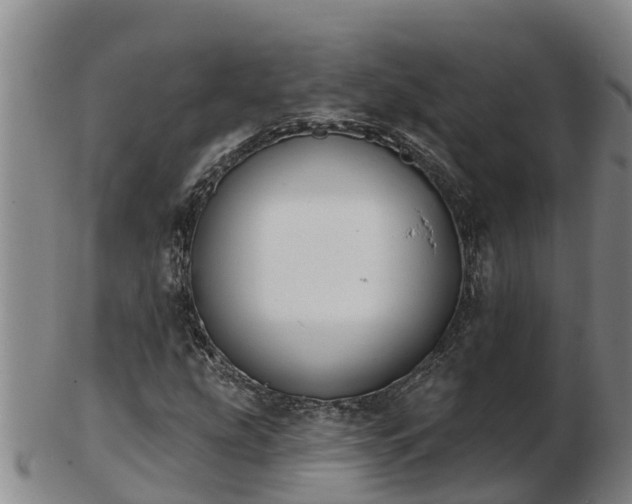 X0000103231207200809041017