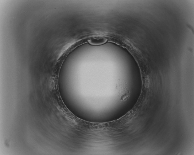 X0000103231208200809041017