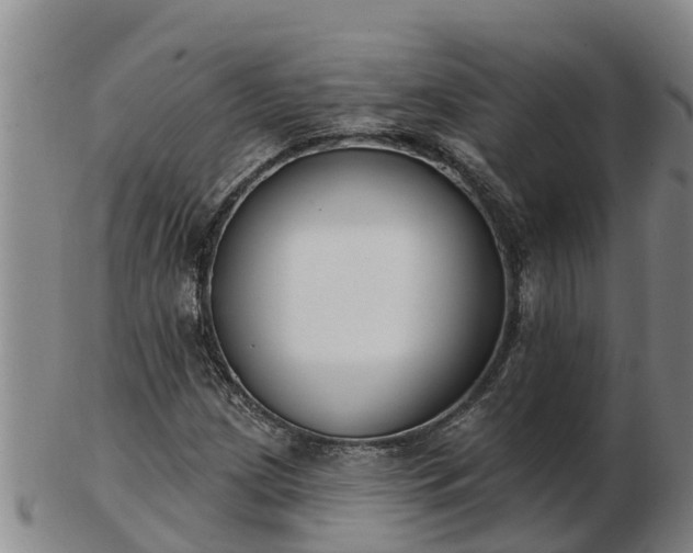 X0000103231209200809041017