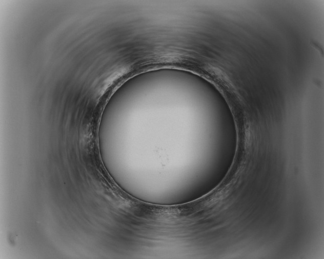 X0000103231210200809041017