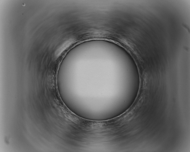 X0000103231211200809041017