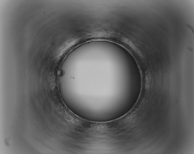 X0000103231213200809041017