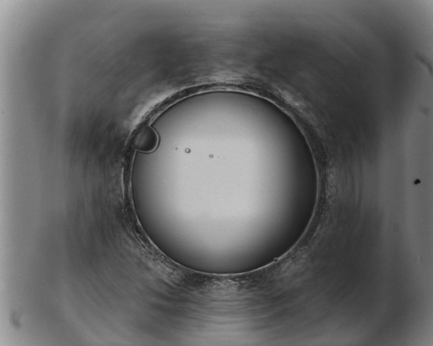 X0000103231214200809041017