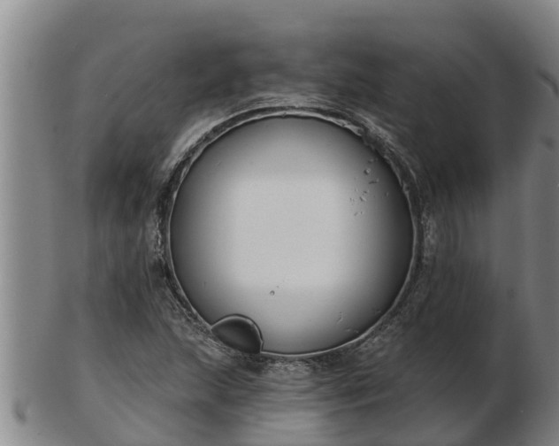 X0000103231215200809041017