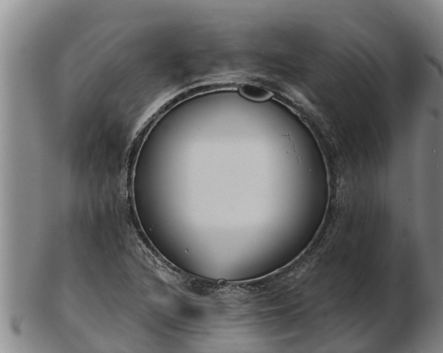 X0000103231216200809041017