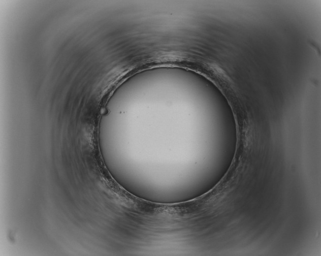 X0000103231217200809041017