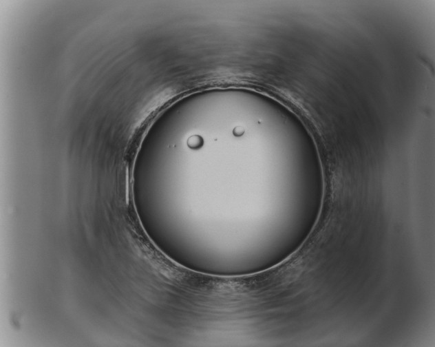 X0000103231219200809041018