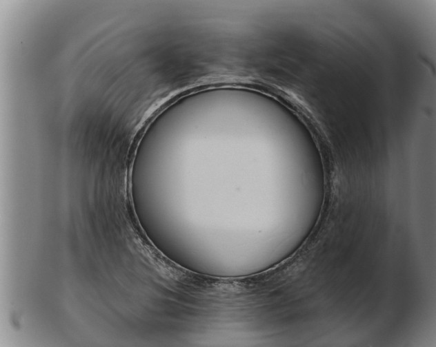 X0000103231220200809041018