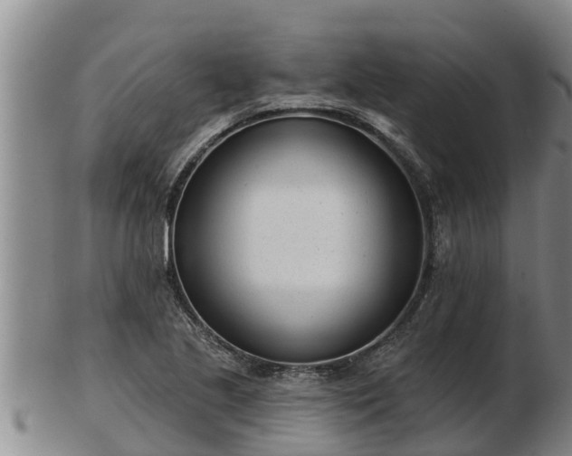 X0000103231221200809041018