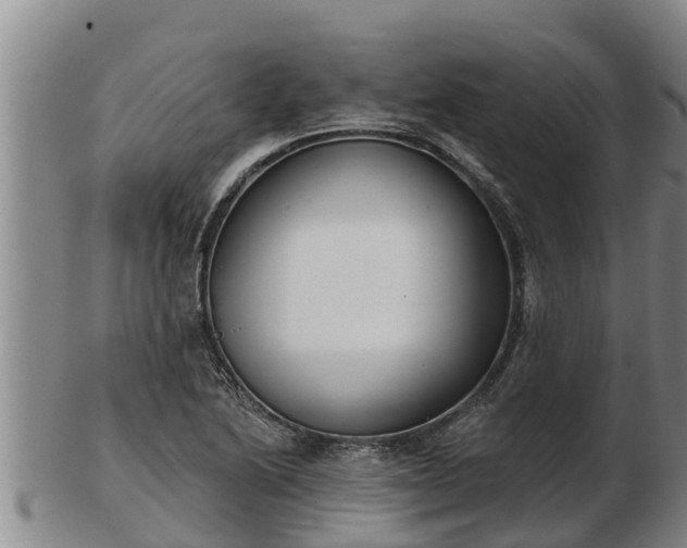 X0000103231222200809041018