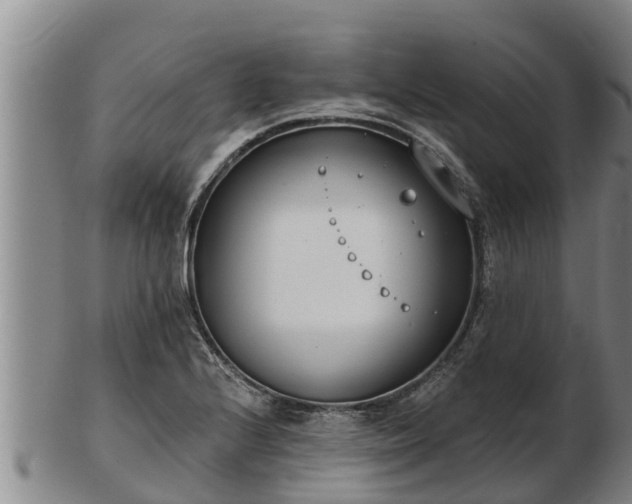 X0000103231224200809041018