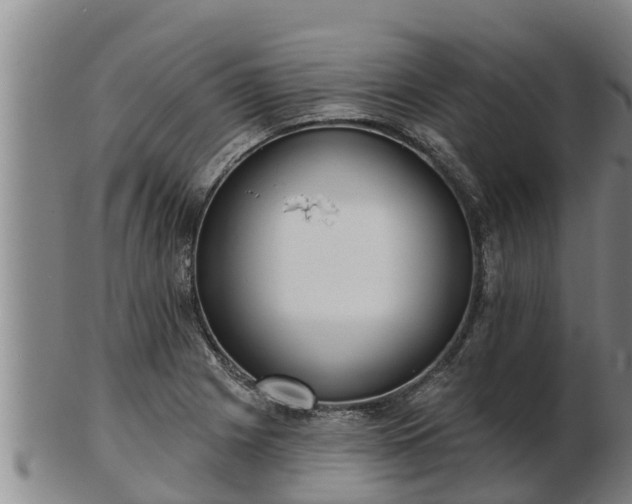 X0000103231225200809041018