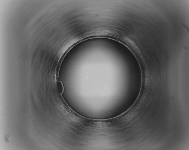 X0000103231226200809041018