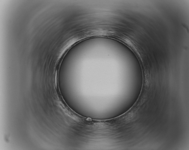 X0000103231227200809041018