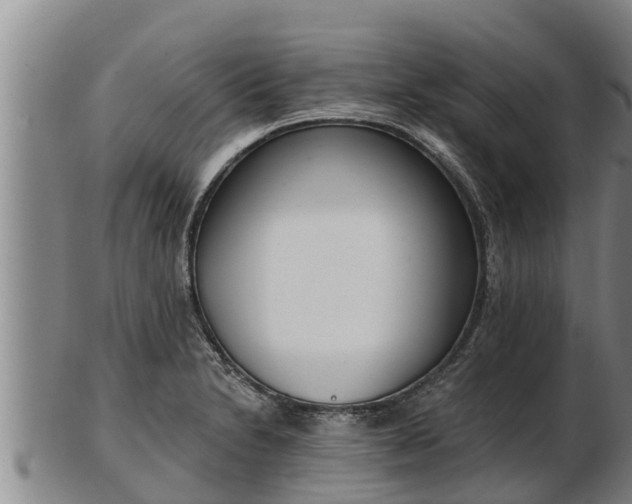 X0000103231230200809041018