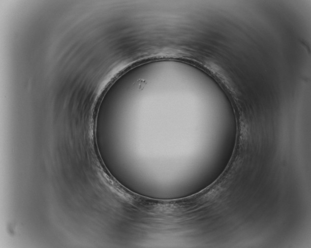X0000103231232200809041018